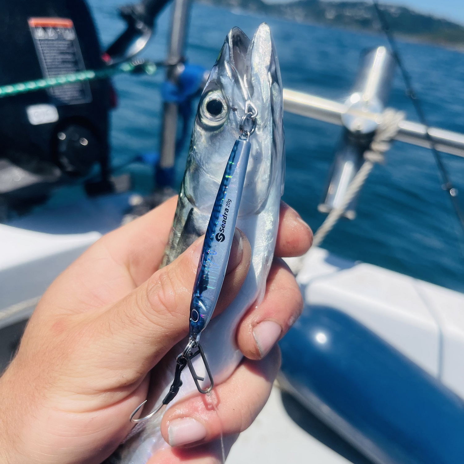 Seadra Aqua-Bullet Bait Fish Casting Jig - Veals Mail Order